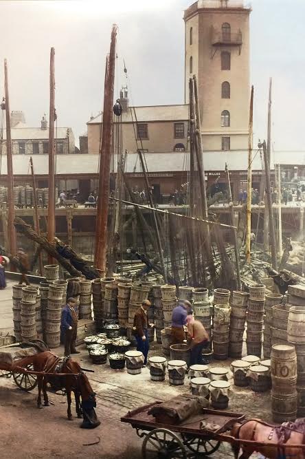 North Shields Fish Quay image no 12