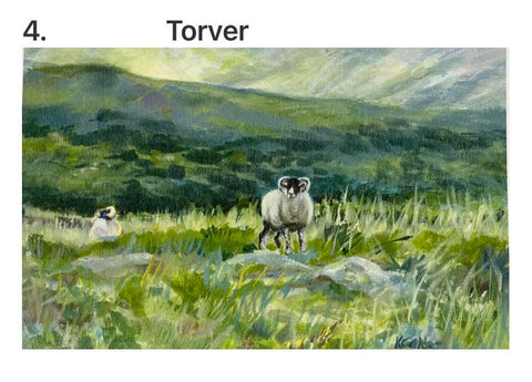 Torver